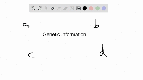 a-set-of-cells-that-host-various-dna-fragments-collectively-representing-an-organisms-entire-set-o-4