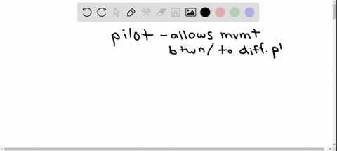 to-be-able-to-pilot-an-animal-must-a-have-a-time-compensated-solar-compass-b-orient-to-a-fixed-point