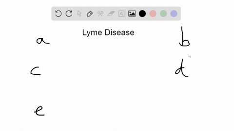 all-of-the-following-are-true-of-lyme-disease-except-a-it-is-caused-by-a-spirochete-b-it-is-transmit