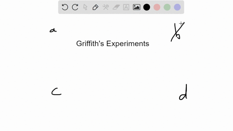 what-was-the-key-observation-made-by-griffith-in-his-experiments-using-live-and-heat-killed-pathogen