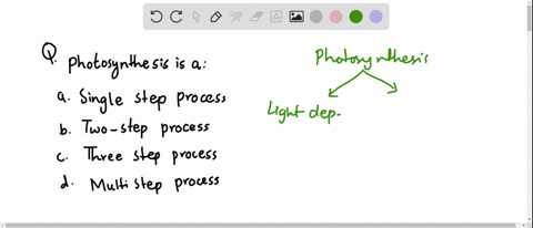 photosynthesis-is-a-a-single-step-process-b-two-step-process-c-three-step-process-d-multi-step-proce