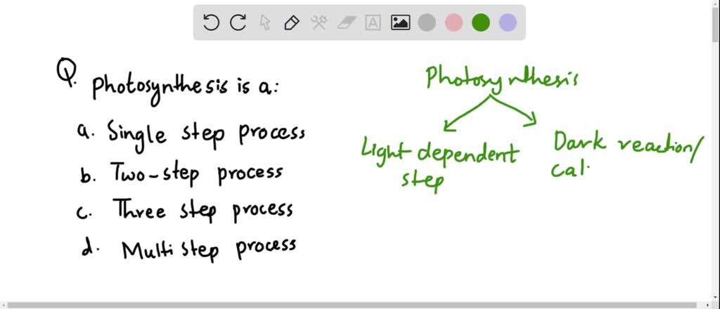 SOLVED:Photosynthesis is a (a) Single-step process (b) Two-step process ...