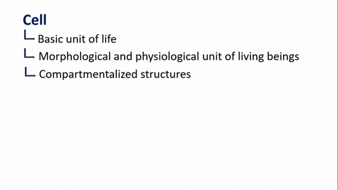 what-advantages-does-compartmentalization-confer-on-a-large-cell