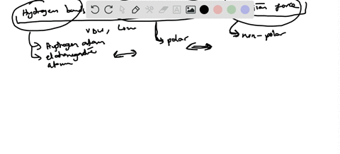 describe-the-intermolecular-forces-that-are-present-in-each-of-the-following-compounds-which-kind--2