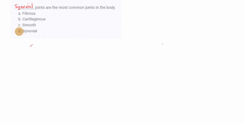 _________-joints-are-the-most-common-joints-in-the-body-a-fibrous-b-cartilaginous-c-smooth-d-synovia