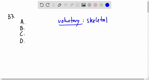 what-muscles-shown-above-are-classified-as-voluntary-muscles-a-the-muscle-type-shown-in-mathrma-b-th