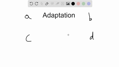 receptor-adaptation-results-when-a-sensory-neurons-stop-sending-action-potentials-b-a-stimulus-is-di