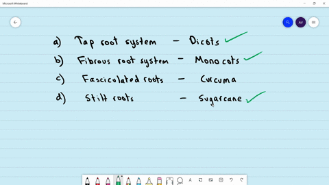 select-the-mismatched-pair-a-tap-root-systern-dicots-b-fibrous-root-system-monocots-c-fasciculated-r