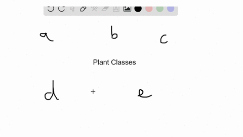 identify-the-plant-that-fits-the-description-use-each-answer-only-once-a-bryophytes-b-lycophytes-c-3