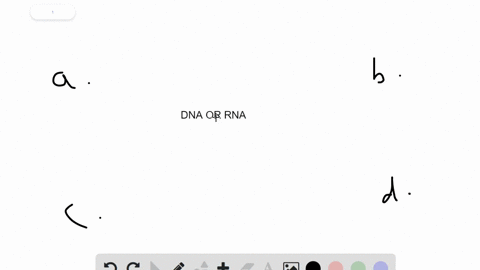 genetic-material-of-a-______-can-be-either-dna-or-rna-a-bacteria-b-dinoflagellate-c-ciliate-d-virus