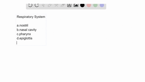 choose-the-best-answer-for-each-question-label-the-components-of-the-human-respiratory-system-in-the