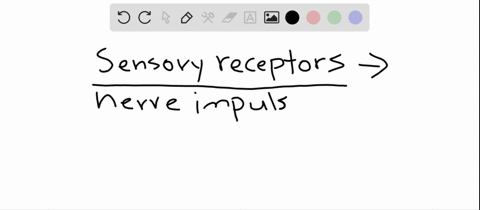 all-sensory-receptors-are-able-to-initiate-nerve-impulses-by-opening-or-closing-a-voltage-gated-ion-