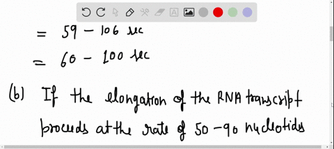 rna-polymerase-a-how-long-would-it-take-for-the-e-coli-rna-polymerase-to-synthesize-the-primary-tran