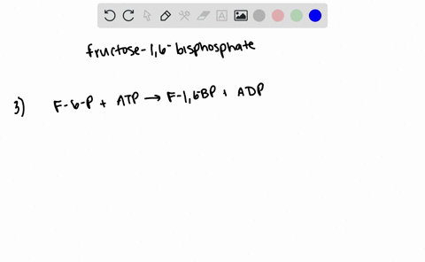 why-is-the-formation-of-fructose-16-bisphosphate-a-step-in-which-control-is-likely-to-be-exercised-i