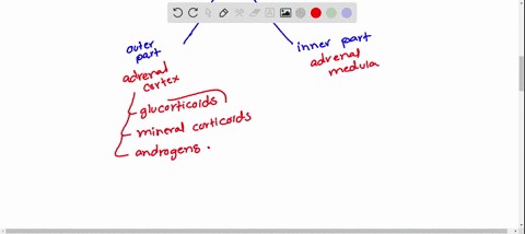 assertion-aldosterone-increases-the-volume-of-blood-and-other-extracellular-fluids-reason-the-secret