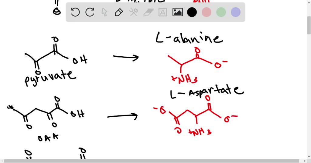 SOLVEDCells can also convert \alpha keto acids into amino acids, but