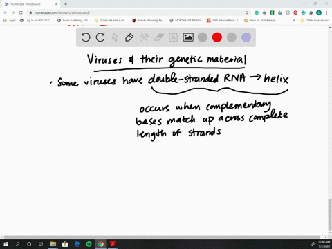 viruses-are-particles-that-infect-cells-in-some-viruses-the-genetic-material-consists-of-two-strands
