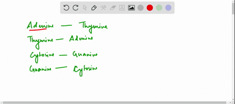 list-the-complementary-base-of-a-adenine-a-b-thymine-t-c-cytosine-c-d-guanine-g