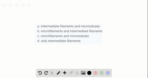 which-of-the-following-do-not-play-a-role-in-intracellular-movement-a-intermediate-filaments-and-mic