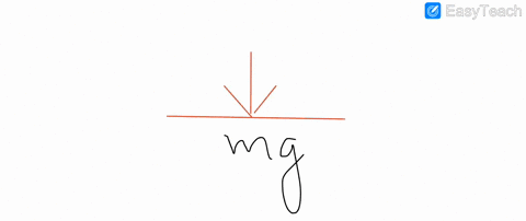 stand-on-a-bathroom-scale-on-a-level-floor-and-the-reading-on-the-scale-shows-the-gravitational-forc