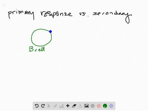 what-makes-a-secondary-immune-response-faster-than-a-primary-immune-response
