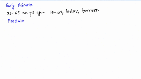 which-of-these-gives-the-correct-order-of-divergence-from-the-main-line-of-descent-leading-to-huma-2