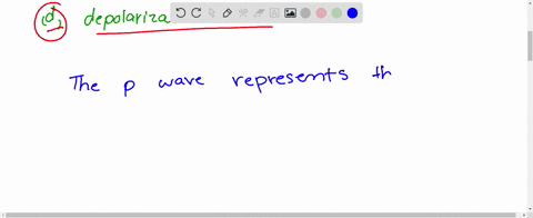 p-wave-represents-a-depolarization-of-ventricles-b-repolarization-of-ventricle-c-repolarization-of-a