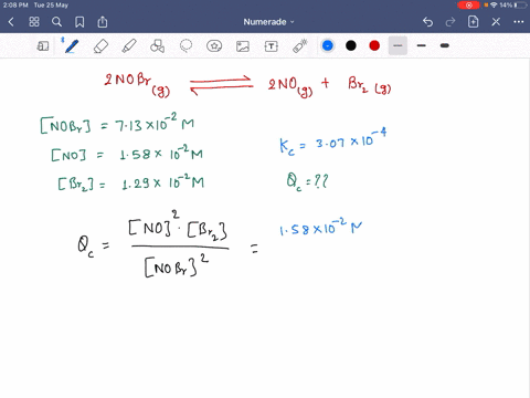 an-experimenter-places-the-following-concentrations-of-gases-in-a-closed-container-mathrmnobr713-tim