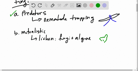 which-statement-about-fungal-nutrition-is-not-true-a-some-fungi-are-active-predators-b-some-fungi-fo