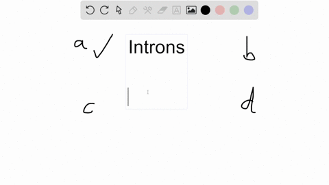 introns-a-are-coded-in-the-dna-b-are-added-to-the-rna-after-transcription-is-complete-c-are-removed-