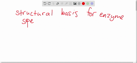 nooks-and-crannies-what-is-the-structural-basis-for-enzyme-specificity