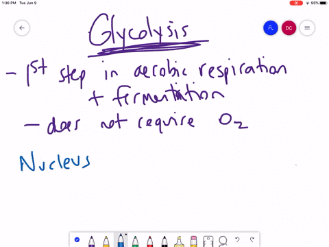 glycolysis-starts-and-ends-in-the-_____________-a-nucleus-b-mitochondrion-c-plasma-membrane-d-cytopl