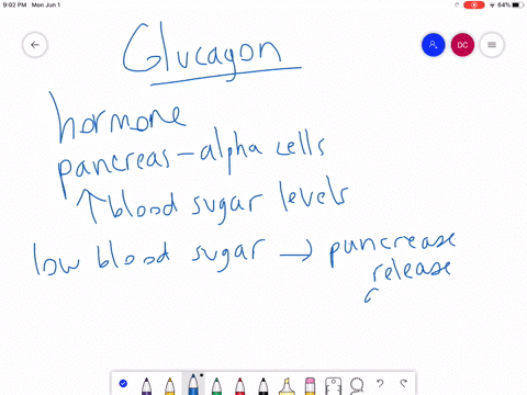 glucagon-is-the-peptide-hormone-that-signals-for-the-body-to-release-glucose-into-the-bloodstream-ho