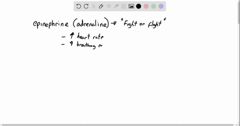 which-of-the-following-is-an-action-of-epinephrine-a-decreases-glucose-use-b-increases-cardiac-out-4