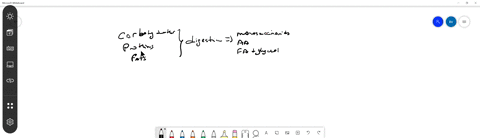 what-is-the-general-type-of-reaction-that-occurs-during-the-digestion-of-carbohydrates