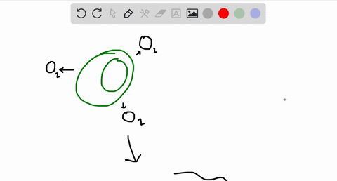 how-was-evolution-affected-by-the-increase-in-oxygen-caused-by-the-first-photosynthetic-organisms