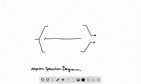 complete-the-following-diagram-illustrating-allopatric-speciation-by-using-these-phrases-genetic-cha