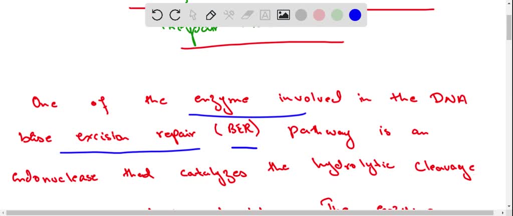 SOLVED:In mismatch repair how does the repair mechanism know which base ...