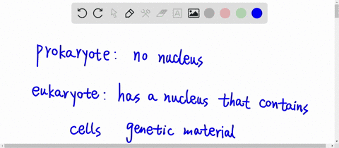 the-difference-between-a-prokaryote-and-a-eukaryote-is-that-prokaryotes-a-have-no-dna-b-have-no-cell