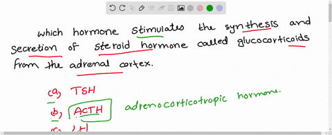 which-of-the-following-hormone-stimulates-the-synthesis-and-secretion-of-steroid-hormones-called-glu