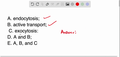 which-of-the-following-are-forms-of-directed-transport-a-endocytosis-b-active-transport-c-exocytosis