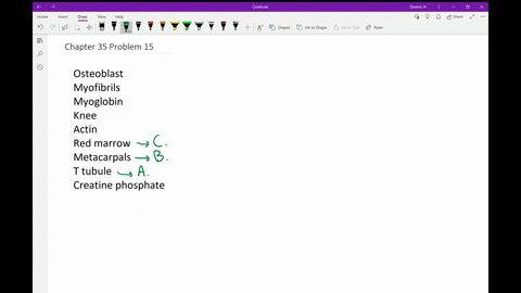 match-the-words-with-their-defining-feature-______osteoblast-______myofibrils-______myoglobin-______