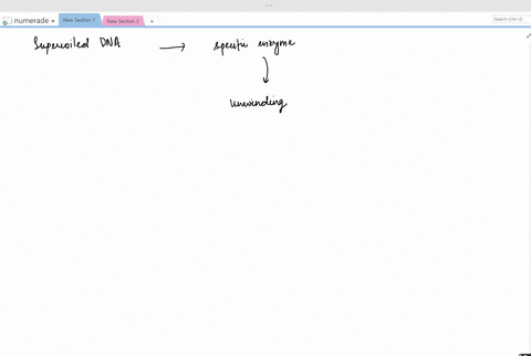 how-does-the-replication-process-take-place-on-a-supercoiled-dna-molecule-2