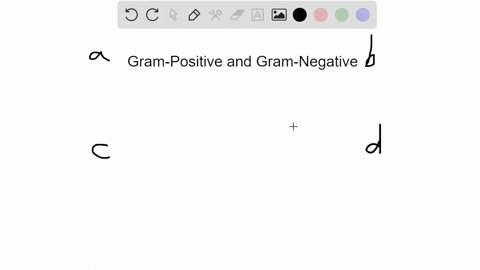 gram-positive-and-gram-negative-bacteria-are-characterized-by-differences-in-a-the-cell-wall-gram--2