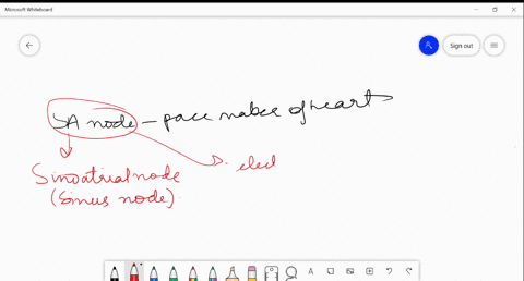 sa-node-is-called-the-pace-maker-of-the-heart-why-a-it-can-change-contractile-activity-generated-by-