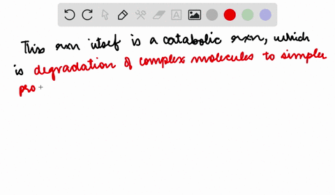 malate-generated-inside-the-mitochondrion-is-translocated-to-the-cytosol-where-it-is-a-substrate-for
