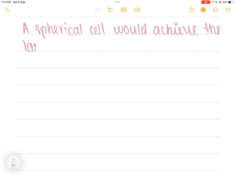 which-type-of-cell-would-you-expect-to-achieve-the-largest-volume-a-highly-flattened-cell-or-a-spher