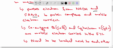 why-is-it-necessary-to-have-mobile-electron-carriers-as-part-of-the-electron-transport-chain-2
