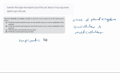 assertion-most-algae-show-haplontic-type-of-life-cycle-reason-a-fucus-alga-shows-diplontic-type-of-l