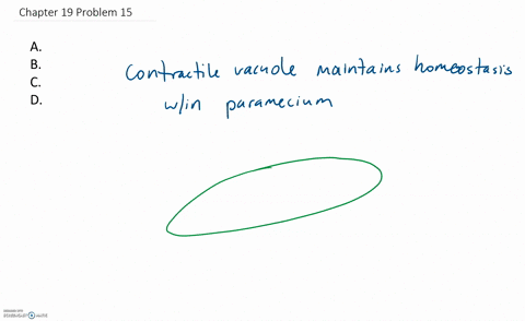 which-structure-does-this-organism-use-for-movement-a-cilia-b-contractile-vacuole-c-flagella-d-pseud